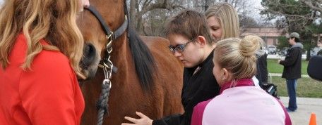 Bellevue Woman Uses Horse Power to Heal